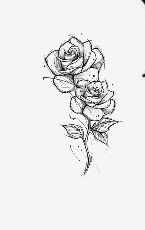 Roses Sketch Drawing, Pen Rose Drawing, Blue Rose Drawing, Rose Flower Sketch, Sketch Rose, Drawing Roses, Floral Sketches, White Rose Bouquet, Two Roses