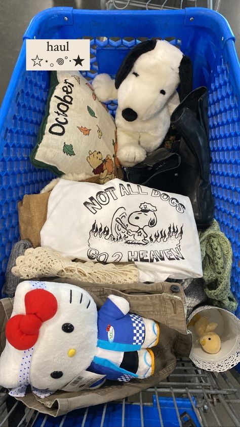 goodwill bins thrift haul snoopy hello kitty leather boots Goodwill Bins Aesthetic, Goodwill Bins Haul, Goodwill Aesthetic, Goodwill Clothes, Thrift Business, Goodwill Outfits, Goodwill Bins, Thrift Manifest, Thrift Aesthetic