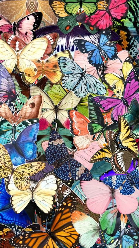 #butterfly #colourful #bug #moth #collage #shuffle Moth Collage, Iron Man Hd Wallpaper, Butterfly Photography, Beautiful Butterfly Pictures, Beautiful Butterfly Photography, Nature Collage, Butterfly Background, Colorful Aesthetic, Beautiful Bugs