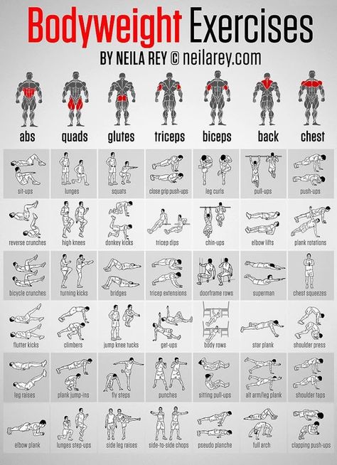 Body Weight Exercises Fitness Studio Training, Latihan Dada, Gym Antrenmanları, Workout Bauch, Bodyweight Exercises, Fitness Routines, Fitness Outfits, Fitness Plan, Weight Training Workouts