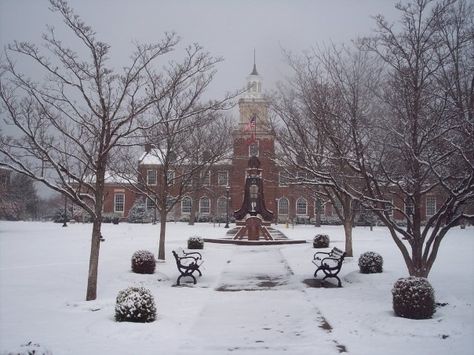 Austin Peay State University in Clarksville, Tennessee Tennessee Winter, College Memories, Tennessee Nashville, Austin Peay State University, Clarksville Tennessee, Boring Day, Clarksville Tn, Teacher School, Montgomery County