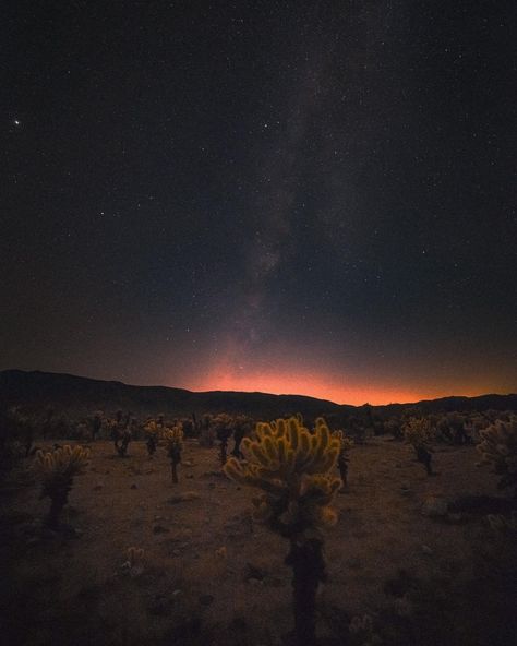 Dark Desert Aesthetic, Aesthetic Desert, Desert Aesthetic, Punk Aesthetic, Fantasy Aesthetic, Dark Gold, Sky Aesthetic, Dark Aesthetic, Cali