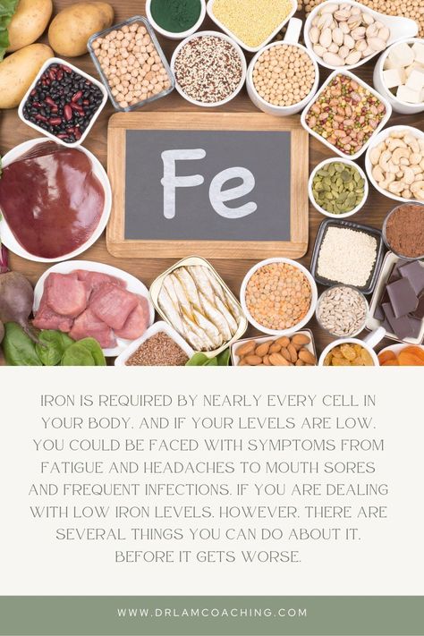 An iron deficiency can have serious consequences on your health and wellbeing. So if you have any of the signs or symptoms of an iron deficiency, it’s important to seek out good advice on boosting iron levels so you your body can return to its optimum state and you can start enjoying your life again. Boost Iron Levels, Fe Iron, Fatigue Syndrome, Leafy Vegetables, Adrenal Fatigue, Health Articles, Living A Healthy Life, Healthy Living Tips, Eating Habits