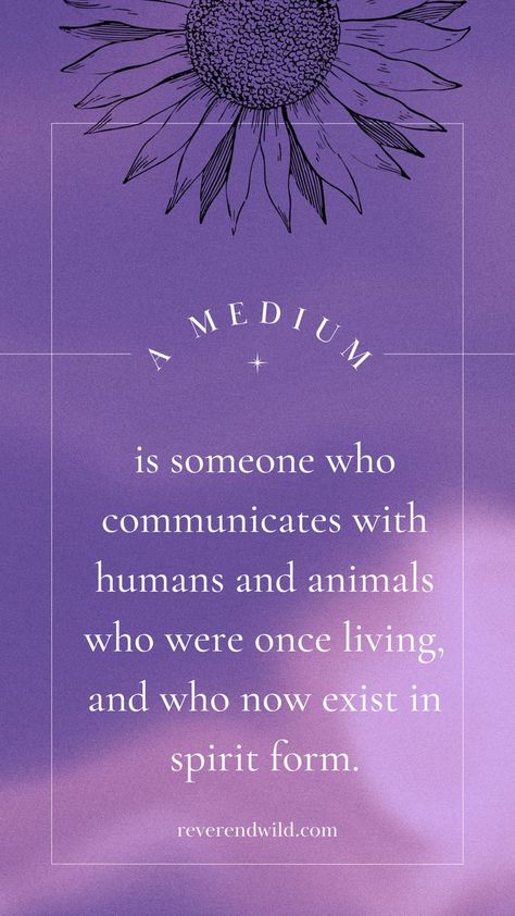 psychic mediums psychic medium aesthetic psychic medium readings psychic mediums quotes psychic mediums signs psychic medium abilities medium spiritual psychic abilities Psychic Reading Aesthetic, Psychic Quotes Spiritual, Spiritual Medium Aesthetic, Medium Aesthetic Psychic, Spirit Medium Aesthetic, Mediumship Aesthetic, Mediumship Quotes, Psychic Medium Aesthetic, Medium Abilities