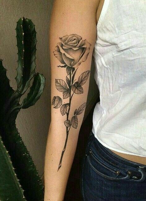 Long Stem Flower Tattoo, Stem Flower Tattoo, Rose Stem Tattoo, Single Rose Tattoos, Alpha Woman, Flower Tattoo On Side, Dragons Tattoo, Rose Tattoos For Women, Black Rose Tattoos