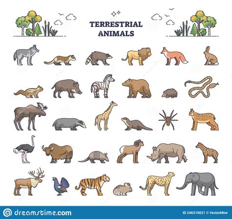 Land Animals Pictures, Types Of Habitats, Tundra Animals, Animals Group, Terrestrial Animals, Images Of Bts, Bird Outline, Wedding Album Layout, Land Animals