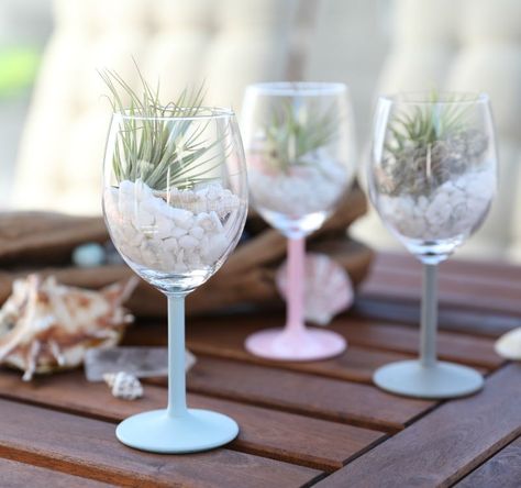 How to make a terrarium with a wine glass Wine Glass Snow Globe, Make A Terrarium, Chalk Spray Paint, Water Bottle Crafts, Sea Shells Diy, Succulent Bowls, Liquor Bottle Crafts, Decorated Wine Glasses, Vintage Wine Glasses