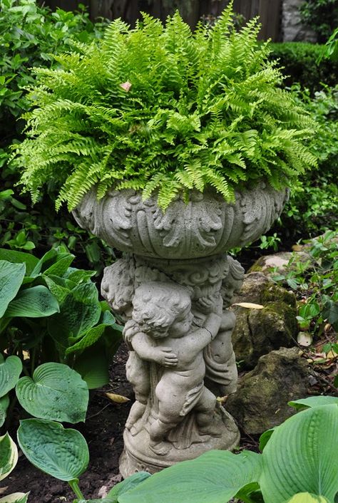 Fern in garden urn... Garden Urns, The Secret Garden, Garden Containers, Garden Gate, Garden Cottage, Garden Gates, Garden Ornaments, Garden Statues, Shade Garden