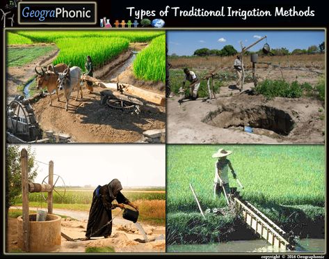 Game : Traditional Methods of irrigation  #Traditional Methods, Traditional, #Methods, #irrigation, #watering, #oldfashioned, #Chain #pump irrigation, Chain ,pump , #chainpump, #geographonic, #fertile, #Moat ,#pulley, #irrigationsystem, #DhekliSystem, #Dhekli , #Rahat, #India, #Indian, #asian, #method, #developing, #poor, #poverty, #humangeography, #human #geography, #geographonic, Nerves In Leg, Atmospheric Circulation, Joints Anatomy, Irrigation Methods, Geography Quizzes, Cell Games, Computer Programming Languages, Micro Sprinkler, Types Of Bones