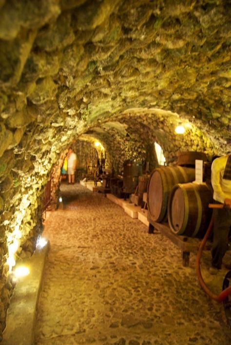 Underground Cellar, Vineyard Tour, Wine Cave, Wine Vineyards, Wine Barrels, Santorini Island, Regions Of Italy, French Wine, Loire Valley