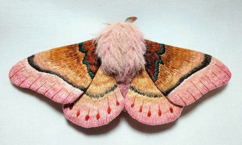 Fiber Sculpture, Creating Texture, Hand Painted Fabric, Fabric Butterfly, Colossal Art, Fabric Embroidery, Embroidery Thread, Textile Art, Needle Felting