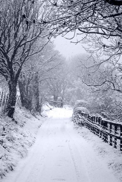 Llangollen Wales, Winter Feeling, Magic Nature, Winter's Tale, Winter Photos, Winter Love, Snowy Winter, Winter Magic, Winter Scenery