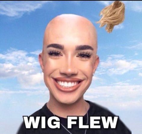 when james charles goes on a rollcoster James Charles, Wigs, Funny, Hair