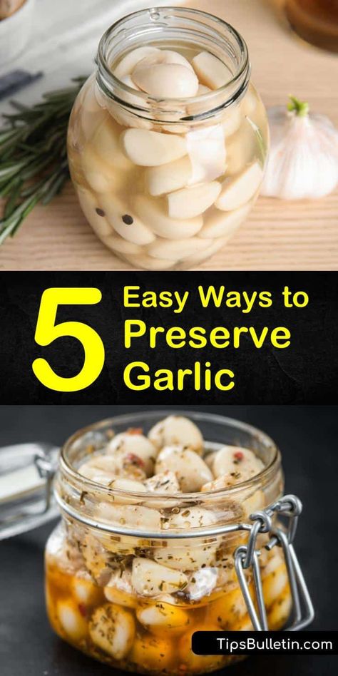 How To Preserve Garlic, Preserve Garlic, Preserving Garlic, Garlic Harvest, Garlic In Olive Oil, How To Store Garlic, Canning Vegetables, Home Canning Recipes, Canned Food Storage