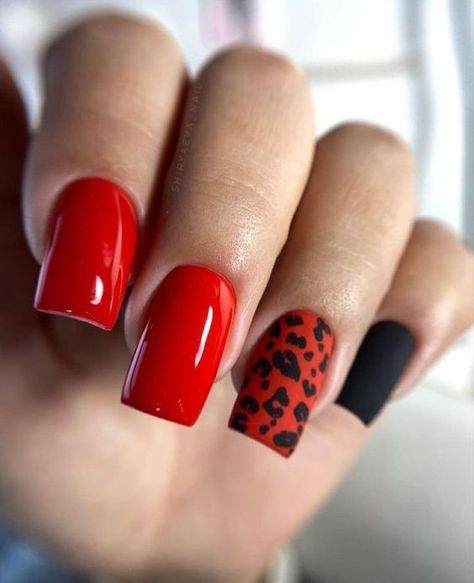 Pink Gel, Acrylic Designs, & More! Simple Fall Nails, Gel Toe Nails, Leopard Print Nails, Her Nails, Leopard Nails, New Year's Nails, Oval Nails, Hot Nails, Chic Nails