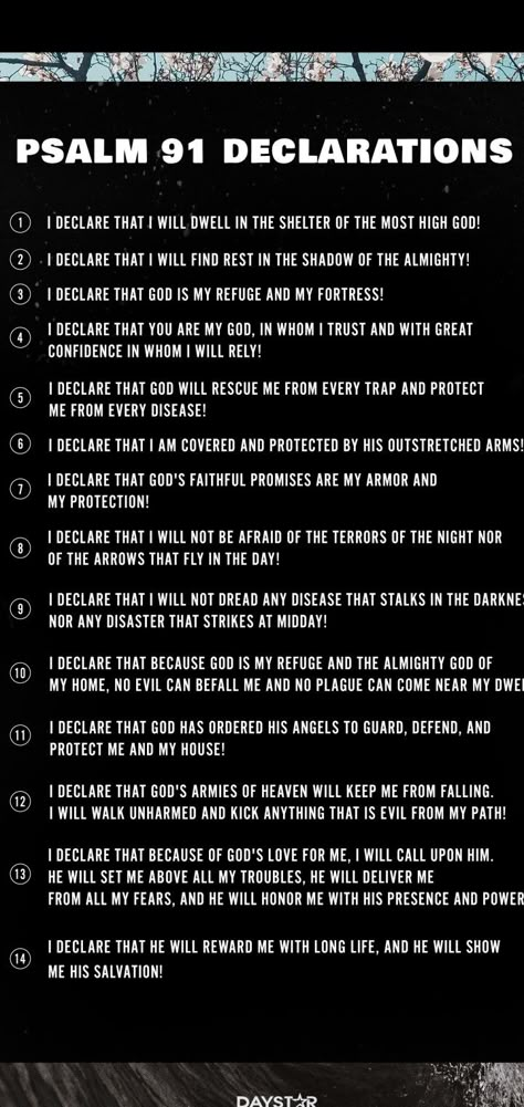 Psalm 91 Declaration, Psalms 91 Declaration, Palms 91 Bible Verse, Spiritual Warfare Prayers Scriptures Faith, Declarations Over My Life, Decree And Declare Prayer, Biblical Decrees, Biblical Declarations, God 1st