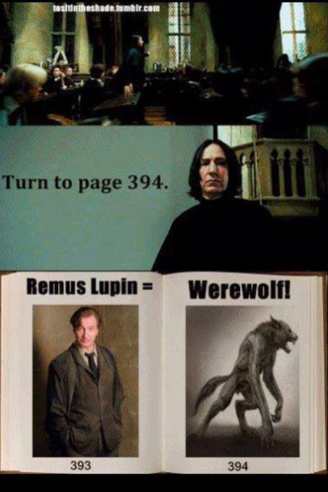 Harry Potter Werewolf Harry Potter, Remus Lupin Werewolf, Page 394, Turn To Page 394, Rubeus Hagrid, Harry Potter Headcannons, Harry Potter Hermione, Harry Potter Theme, Dream Book