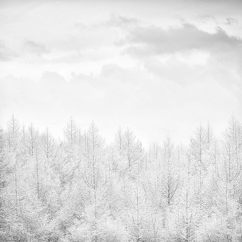 winter Winter Schnee, Winter's Tale, Blue Theme, I Love Winter, Blue Winter, Winter Love, Winter Magic, Winter Scenery, Honeymoons