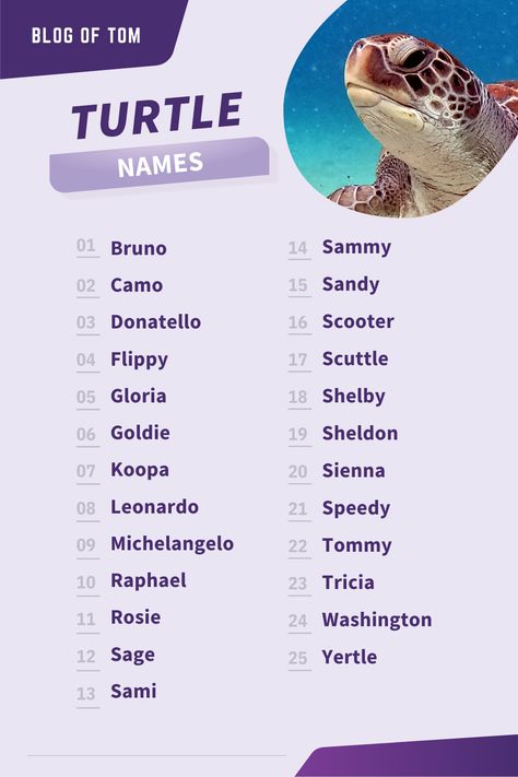 Looking for the perfect name for your new tortoise or turtle? Look no further! This list has over 999 names to choose from, so you're sure to find the perfect one. Whether you're looking for a funny or cute name, we've got you covered. #turtlenames #tortoisenames Names For Tortoises, Tortoise Name Ideas, Stuffed Animal Names Ideas, Names For Turtles, Pet Turtle Names, Turtle Names Ideas, Cute Funny Names, Names For Horses, Sea Names