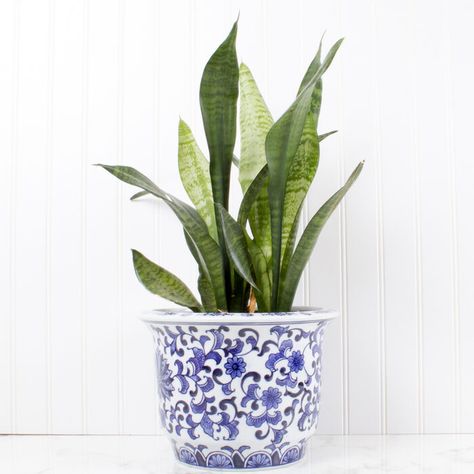 Blue Chinoiserie Small Porcelain Planter/Ice Bucket | Ross-Simons Blue And White House, French Chinoiserie, Chinoiserie Planter, Blue And White Home Decor, Blue And White Home, Porcelain Planter, Blue And White Decor, Blue Chinoiserie, White Planters