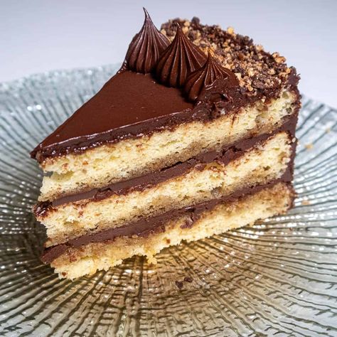 Gianduja Cake, Hazelnut Dessert, Cake Pastries, Chocolate Hazelnut Cake, German Foods, Hazelnut Cake, Cake Fillings, Holiday Cakes, Pastry Cake