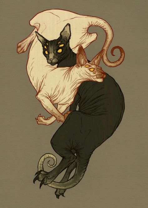 Lenka Simeckova Deviant Art Animals, Lenka Simeckova, Black Cat Character, Artistic Illustration, Comics Illustration, Inspiration Illustration, Art Noir, Amazing Artists, Deviant Art