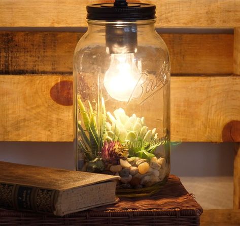 How to make a lamp terrarium Lamp Terrarium, Terrarium Lamp, Tabletop Terrarium, Bottle Terrarium, Make A Lamp, Living Wall Art, Indoor Greenhouse, Flower Lamp, Terrarium Diy