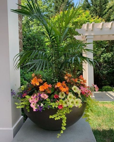 Hawaiian Backyard Landscaping, Pots In Garden, Tropical Planter, Potted Plant Garden, Garden Ideas Decoration, Plant Garden Ideas, Patio Flower Pots, Planter Arrangements, Decoration Plants