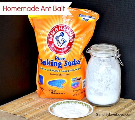 Frugal Friday ~ Effective Homemade Ant Bait Mason Jar Baking, Ant Bait, Sugar Ants, Baking Soda Benefits, Ant Killer, Soda Brands, Best Money Saving Tips, Diy Art Ideas, Organized Chaos