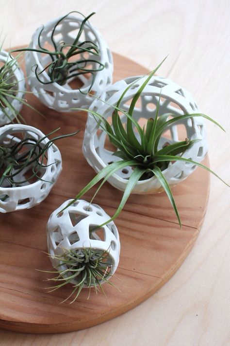 Air Plants Diy, Ceramic Containers, Air Plants Decor, Sage Garden, Air Plant Display, Garden Pottery, Garden Terrarium, Hand Built Pottery, Air Plant Holder