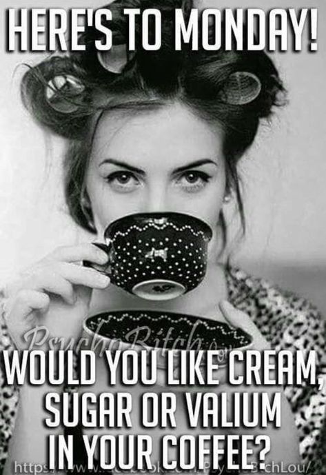 Monday Coffee Quotes, Kaffe Humor, Quotes Coffee, Good Morning Quotes For Him, Monday Memes, Morning Quotes For Him, Monday Humor, Gratitude Challenge, Funny Good Morning Quotes