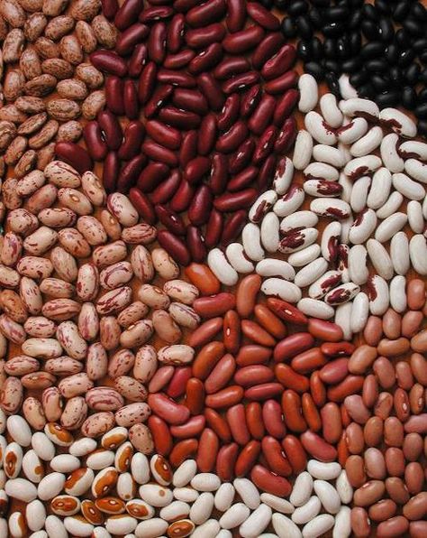 Cereals And Pulses, Beans Benefits, Como Plantar Pitaya, Beans Image, Low Cost Meals, Bean Varieties, White Kidney Beans, Dry Beans, Best Beans