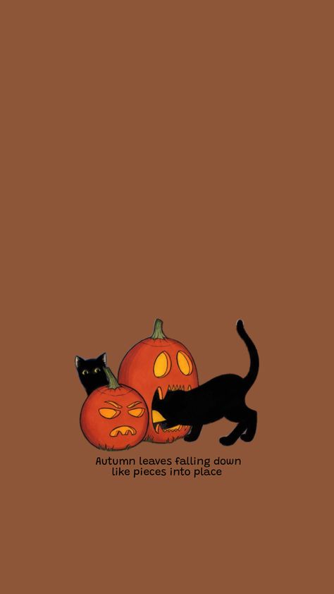 fallll #fall #cats #pumpkin #autumn #aesthetic #brown #halloween #ilovefall Autumn Aesthetic Brown, Autumn Lockscreen, Autumn Cats, Fall Cats, Halloween Wallpaper Cute, Aesthetic Brown, Pumpkin Autumn, Autumn Aesthetic, Halloween Wallpaper