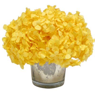 Bougainvillea Yellow, Hydrangea In Vase, Hydrangea Yellow, Mums Garden, Yellow Hydrangea, Hydrangea Vase, Artificial Plant Arrangements, Artificial Plants Decor, Preserved Hydrangea