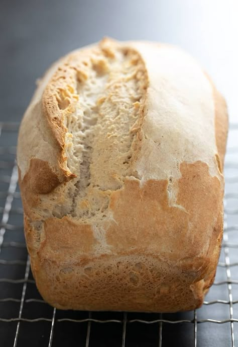 Gluten Free Sourdough Bread | No "Regular" Yeast Wild Yeast Starter, Gluten Free Sourdough Starter, Gluten Free Sourdough Bread, Gluten Free Milk, Yeast Starter, A Loaf Of Bread, Pan Sin Gluten, Gluten Free Sourdough, Cookies Gluten Free