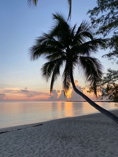 Sunset on Seven Mile Beach in Grand Cayman Art For Walls, Grand Cayman Island, Walls Art, Cayman Island, Island Pictures, Sailing Trips, Art Nouveau Art, Nouveau Art, Journal Art