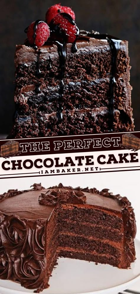 The Best Chocolate Cake Recipe Ever, Best Decadent Chocolate Cake, The Perfect Chocolate Cake, Recipes With Baking Chocolate, Most Amazing Chocolate Cake, Perfect Chocolate Cake Recipe, Most Chocolate Cake, Delicious Chocolate Cake Recipes, Recipes For Chocolate Cake