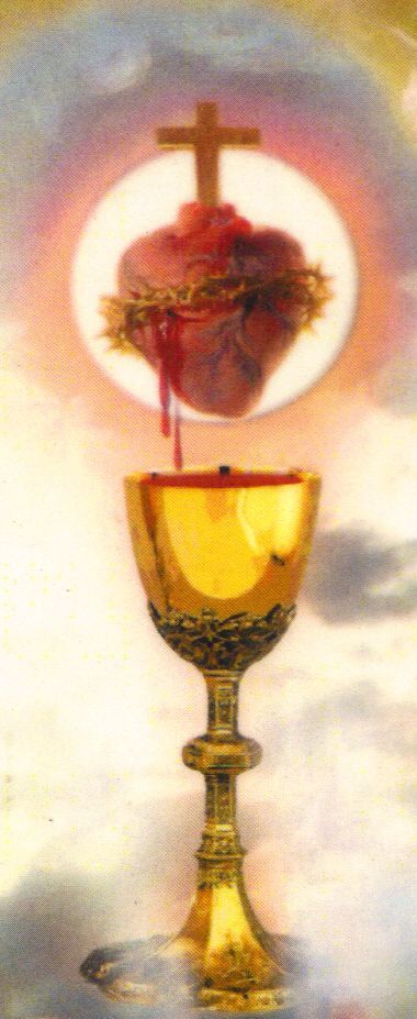 Novena to the Precious Blood, Day 6 - "Eternal Father, I offer you the merits… Eucharistic Adoration, Catholic Pictures, Blood Of Christ, Catholic Images, Jesus Christ Images, Religious Images, Jesus Christus, Heart Of Jesus, Eucharist