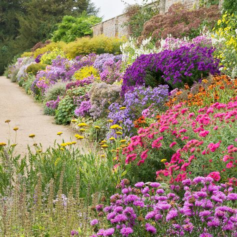 English Herbaceous Borders | Waterperry Gardens, Oxfordshire, UK | ( 2 of 50)… English Gardens, Herbaceous Border, Sloped Garden, Garden Wallpaper, English Cottage Garden, Garden Shrubs, Garden Landscape Design, Garden Borders, Natural Garden