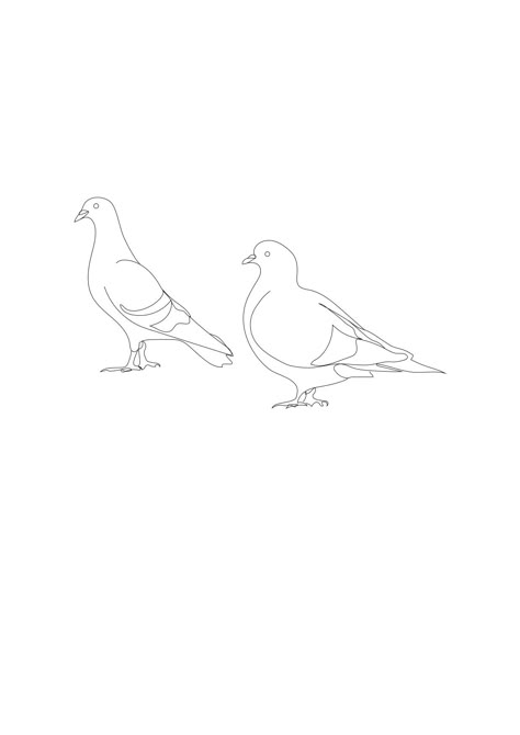 Pigeons Tattoo Design Pigeon Outline Tattoo, Peagons Tattoo, Pidgin Tattoo, Wood Pigeon Tattoo, Simple Pigeon Tattoo, Pigeon Tattoo Design, Tattoo Pigeon, Pigeon Tattoo, Feral Pigeon