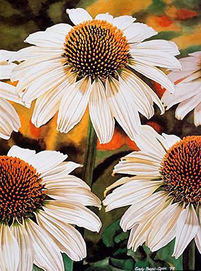 White Coneflower by Cindy Agan Watercolor ~ 16.50 x 12.50 White Coneflower, Flower Artists, Fruit Art, Watercolor Inspiration, Pastel Painting, Watercolor Artist, Learn To Paint, Watercolor Landscape, Floral Painting