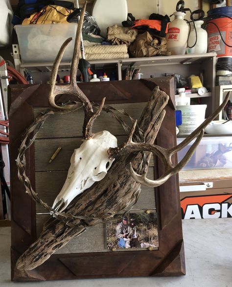 European Deer Mount Ideas, Antler Mount Ideas, Skull Mount Ideas, White Tail Buck, Deer Mount Decor, Euro Mount, Woodworking Plans Clocks, Deer Mount Ideas, Deer Hunting Decor