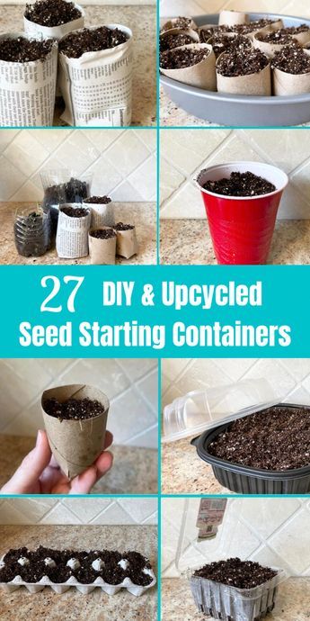 CHEAP & EASY SEED STARTING CONTAINER IDEAS - Our collection of 27 different seed starting containers diy ideas is sure to help you save money on your seed starting set up! Seed starting indoors DIY can reduce costs, plus it’s a fun gardening with kids ideas! Cheap seed starting containers and DIY seed starting pots are easy to make, using items you already have on hand. Check out all our seed starting ideas, including these 27 DIY seed containers, with newspaper pots DIY and more! Diy Seed Starter Pots, Diy Plant Starter Containers, Diy Plant Starters, Indoor Plant Starter Seed Starting, Herb Seed Starting, Diy Seed Planter, Seed Container Ideas, Potting Up Seedlings, Starting Seedlings Indoors