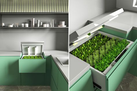 Coastal Kitchen Colors, Tech Fits, Tech Furniture, Plant Furniture, Herb Garden Indoor, Space Saving Hacks, Urban Apartment, Herb Garden Design, Suburban House