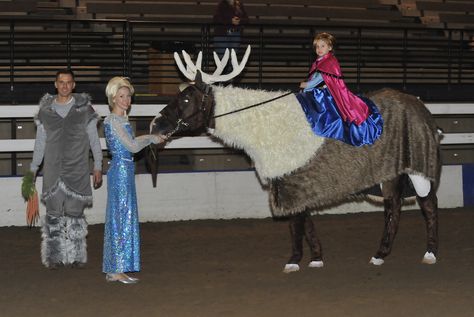 Horse Show Costume Contest - Frozen Inspired Equine Cosplay - Elsa, Kristoff, Anna and Sven - Horse Reindeer Costume Horse Stall Decorations, Horse Stalls Diy, Horse Halloween Ideas, Horse Fancy Dress, Kristoff Costume, Cowgirl Things, Horse Halloween Costumes, Disney Horses, Horse Halloween