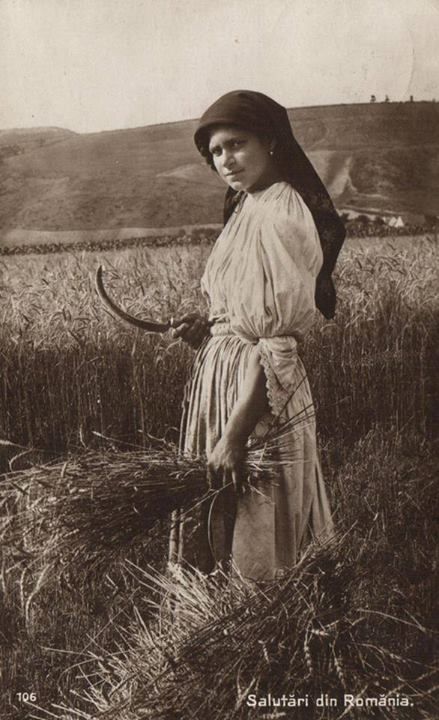 vintage Romanian woman at work Romanian Women Traditional, Romania People, Woman At Work, Romania Food, Romanian Women, The Best Recipes, Historical Pictures, Vintage Portraits, Photo Reference