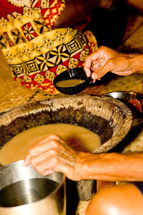 Kava Ceremony ~ been known to  drink heaps of this stuff (Kava from Fiji & Vanuatu) Kava Ceremony, Piper Methysticum, Natural Muscle Relaxer, Polynesian Beauty, Kava Kava, Plant Friends, Clap Clap, Fiji Islands, American Samoa