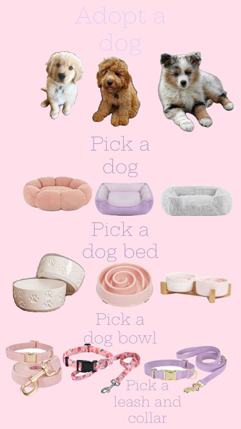 Bougie Dog, Fun Sleepover Activities, Puppy Things, Puppy Items, New Puppy Checklist, Puppy Checklist, Girl Dog Names, Preppy Dog, Cute Small Dogs