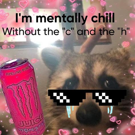 Emo Raccoon, Health Memes, Aesthetic Emo, Pay Attention To Me, Raccoon Funny, Im Lost, Silly Images, In Another Life, Funny Animal Memes