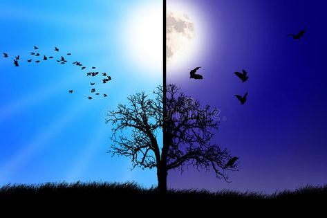 Day versus night concept. Concept illustration between day and night #Sponsored , #advertisement, #SPONSORED, #night, #day, #illustration, #Day Moon Song, Photography Day, May 27, Design Skills, Book Of Shadows, Night Time, Stock Photography, Northern Lights, Stock Illustration